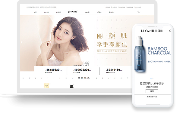 企业品牌网站建设方案